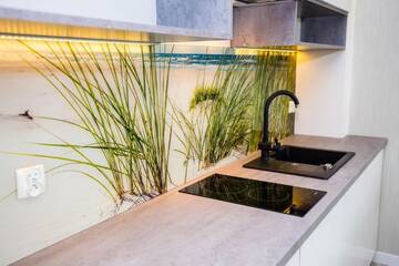 Фото номера Апартаменты Апарт-отели Aparthotel Residence Jastrzębia Góra г. Ястшембя-Гура 15
